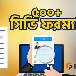 500+ CV Format