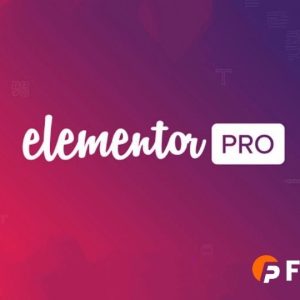 Elementor Pro